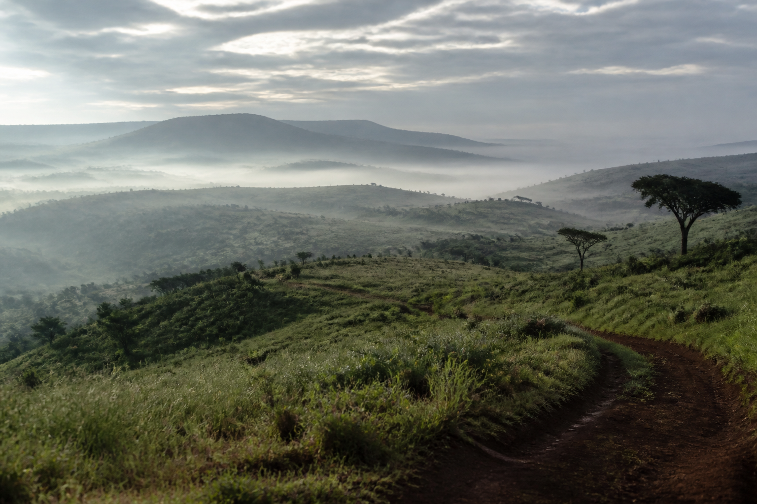 Ngong Hills in morning light, looking over Nairobi from the ridge